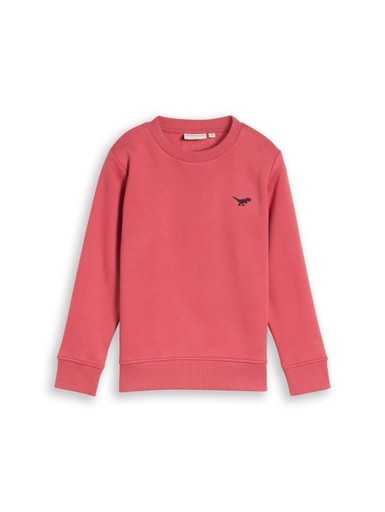 Sweatshirt mit Dino-Stickerei