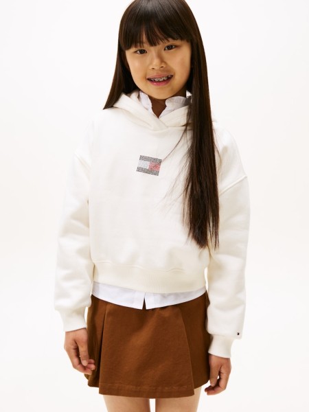 RHINE STONE FLAG HOODIE