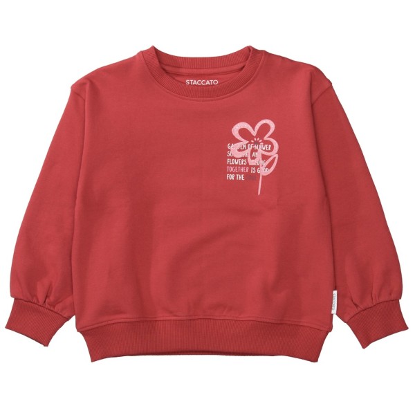 Md.-Sweatshirt