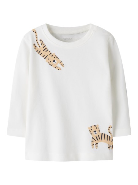 NBMVACION LS TOP BOX