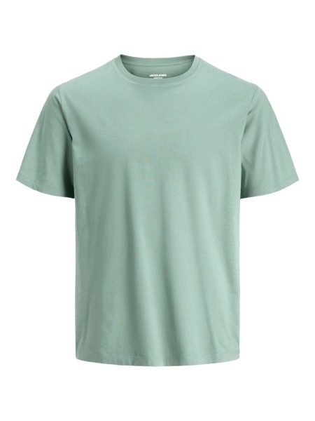 JJEORGANIC BASIC TEE SS O-NECK NOOS