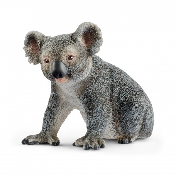 14815 Wild Life: Koalabär