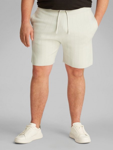 JACQUARD MESH PULL ON SWT SHORT