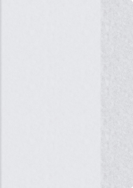 Brunnen 104054499 Hefthülle (für A4 mit Namensschild in der Einstecktasche, 1 Umschlag) klar