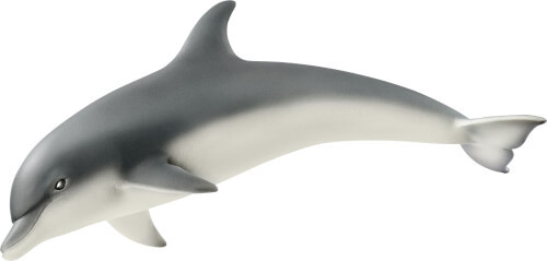 Delfin (14808)
