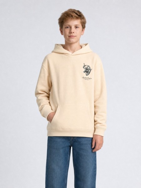 Boys Sweater Hooded Print