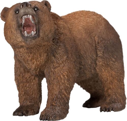 14685 Wild Life: Grizzlybär