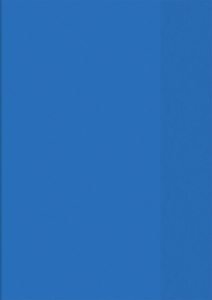 Brunnen 104050430 Hefthülle / Heftumschlag (A4, Folie, transparent, mit Namensschild in der Einsteck