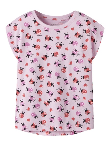NMFVIGGA CAPSL TOP