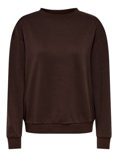JDYNANNA LIFE L/S TEXT SWEAT JRS DIA