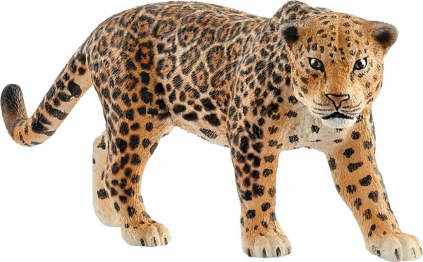14769 Wild Life: Jaguar
