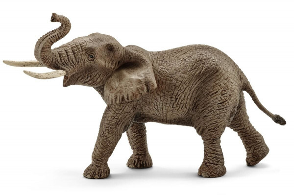 Afrikanischer Elefantenbulle (14762)