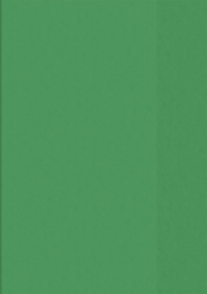 Brunnen 104050450 Hefthülle / Heftumschlag (A4, Folie, transparent, mit Namensschild in der Einsteck